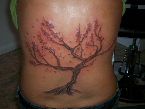 tree tattoo designs. Cherry Tree Tattoo Design