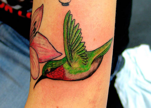 tattoo birds. Humming Bird Tattoos