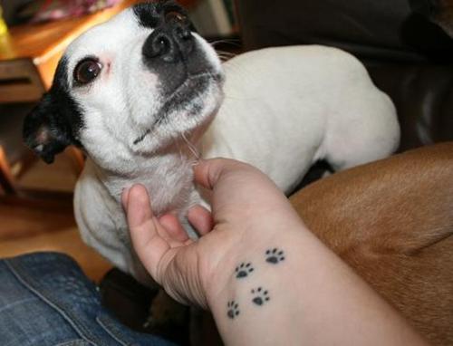 our stylized paw print tattoo. Advanced Search dog paw print clip art