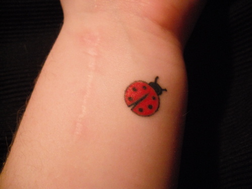 ladybugs tattoos. Lady Bug Tattoo