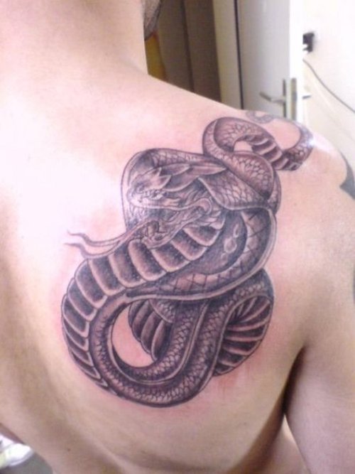 Cobra Tattoo Posted on October 14 2011 Leave a comment